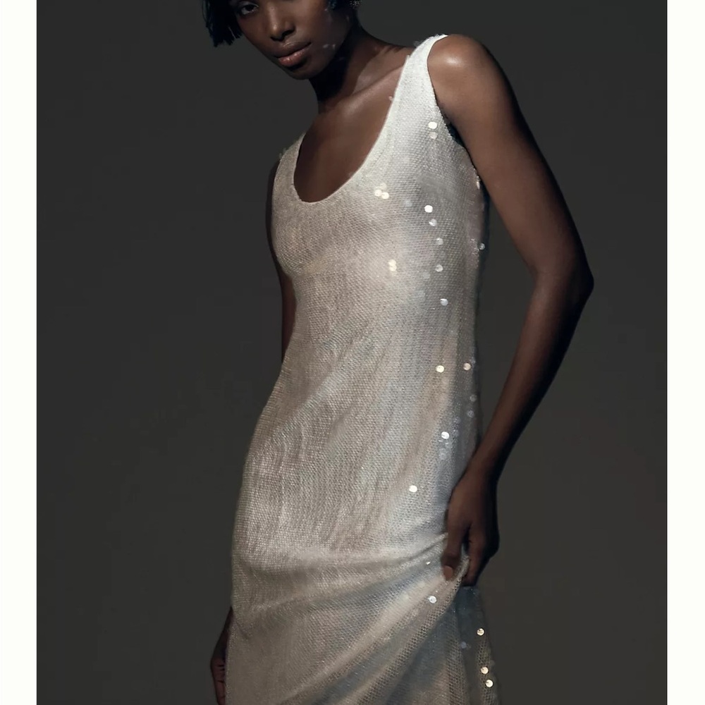 Hutch Sleeveless Scoop Neck Sequin Column Maxi Dress